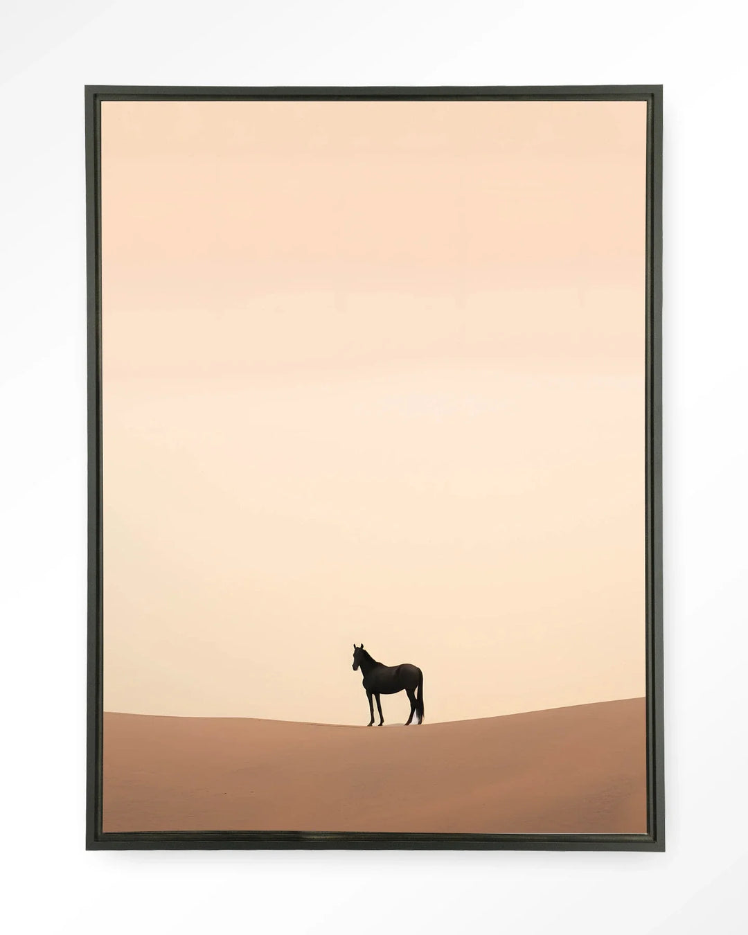 Desert Horse - Moderne Wanddecoratie | Artprint, Glass Art & Wandkleed