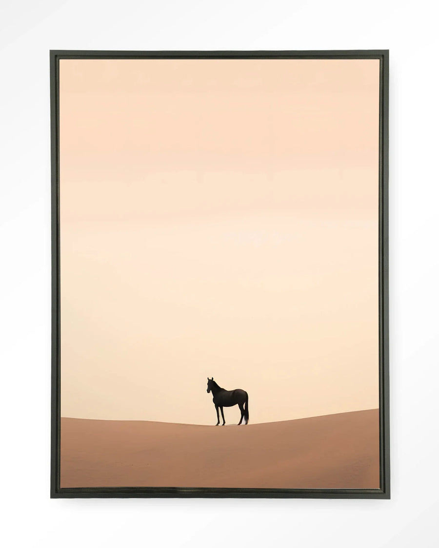 Desert Horse - Moderne Wanddecoratie | Artprint, Glass Art & Wandkleed