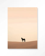 Desert Horse - Moderne Wanddecoratie | Artprint, Glass Art & Wandkleed