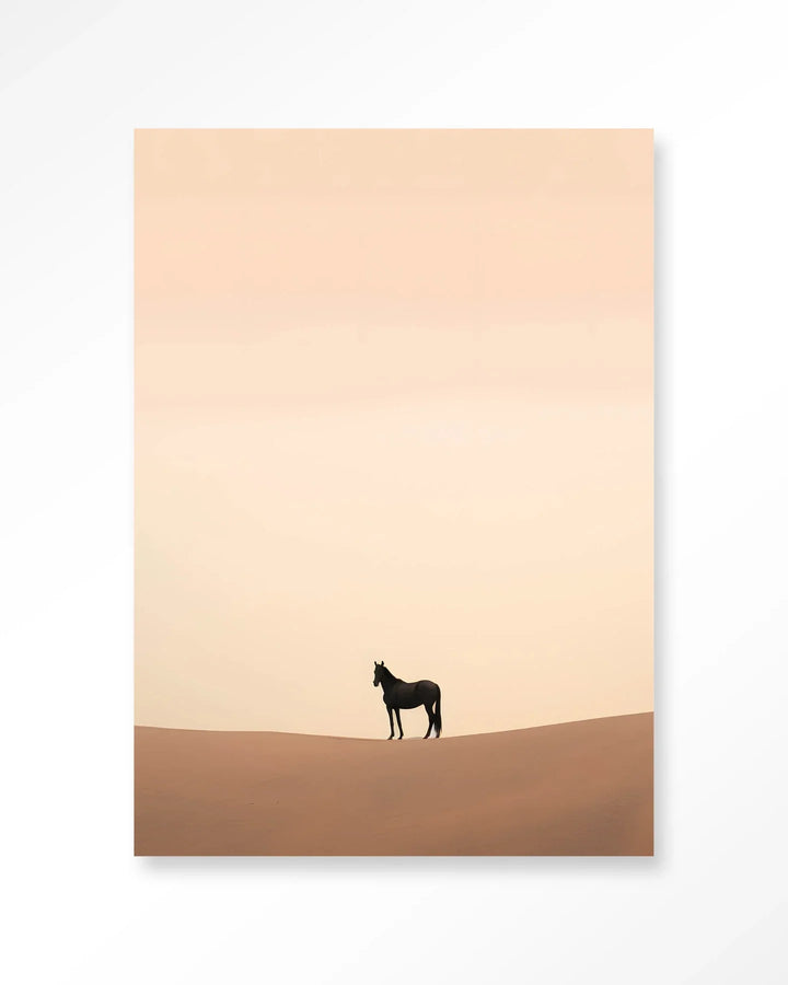 Desert Horse - Moderne Wanddecoratie | Artprint, Glass Art & Wandkleed