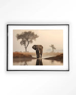 Savannah Elephant - Moderne Wanddecoratie | Artprint, Glass Art & Wandkleed