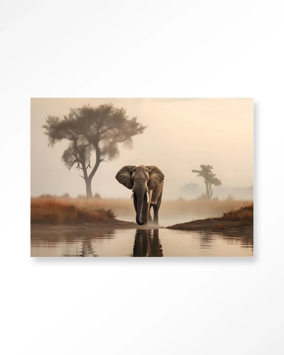 Savannah Elephant - Moderne Wanddecoratie | Artprint, Glass Art & Wandkleed