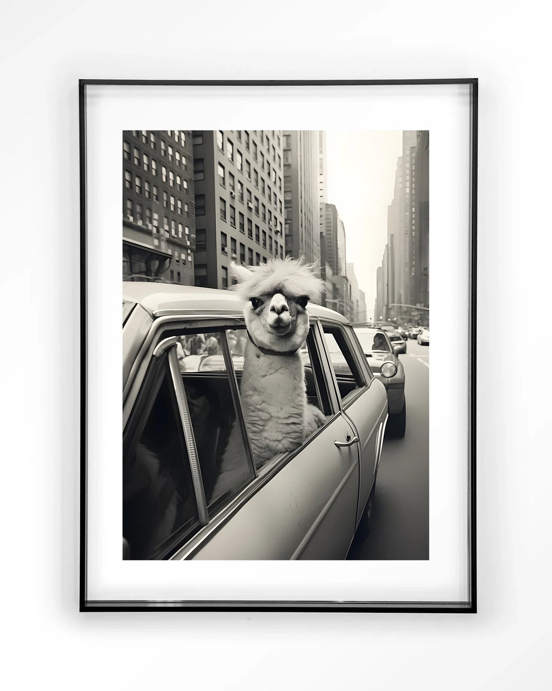 Alpaca In NY - Moderne Wanddecoratie | Artprint, Glass Art & Wandkleed