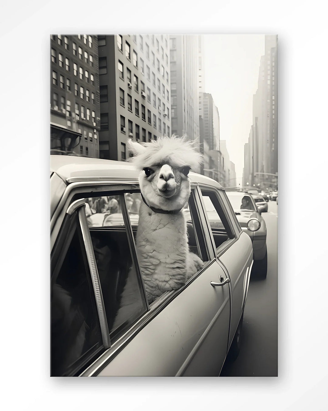 Alpaca In NY - Moderne Wanddecoratie | Artprint, Glass Art & Wandkleed