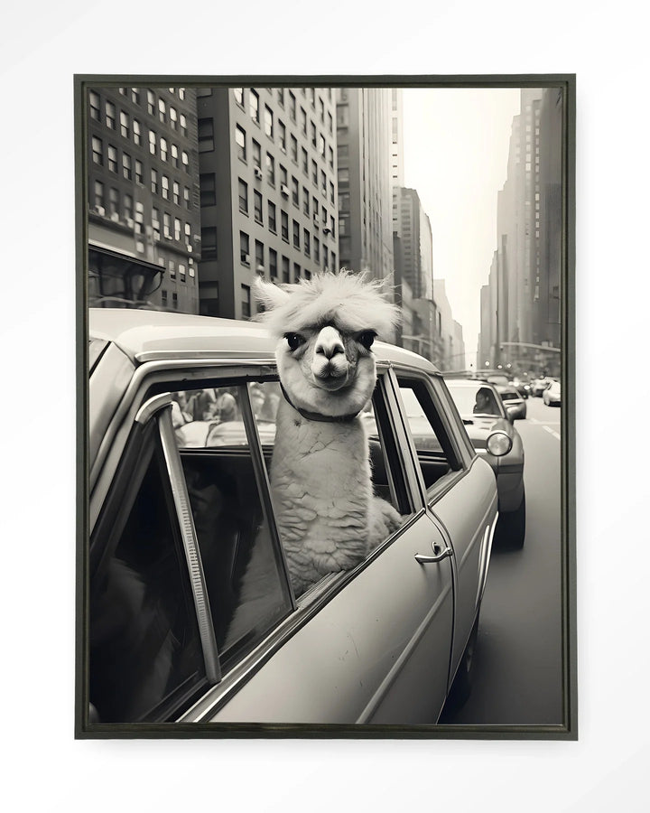 Alpaca In NY - Moderne Wanddecoratie | Artprint, Glass Art & Wandkleed