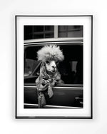 Alpaca In Taxi - Moderne Wanddecoratie | Artprint, Glass Art & Wandkleed