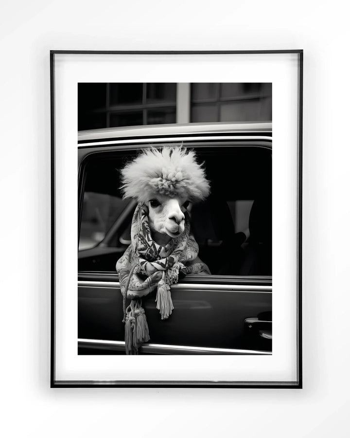 Alpaca In Taxi - Moderne Wanddecoratie | Artprint, Glass Art & Wandkleed