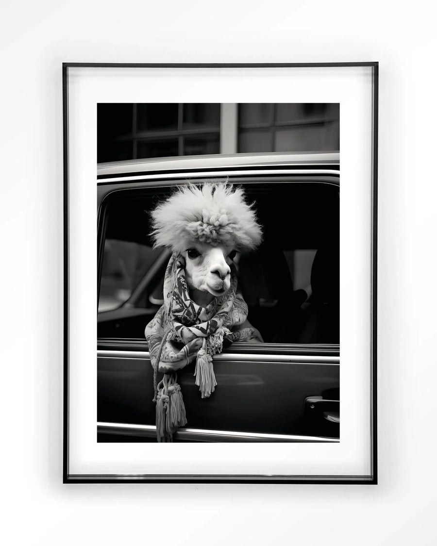 Alpaca In Taxi - Moderne Wanddecoratie | Artprint, Glass Art & Wandkleed