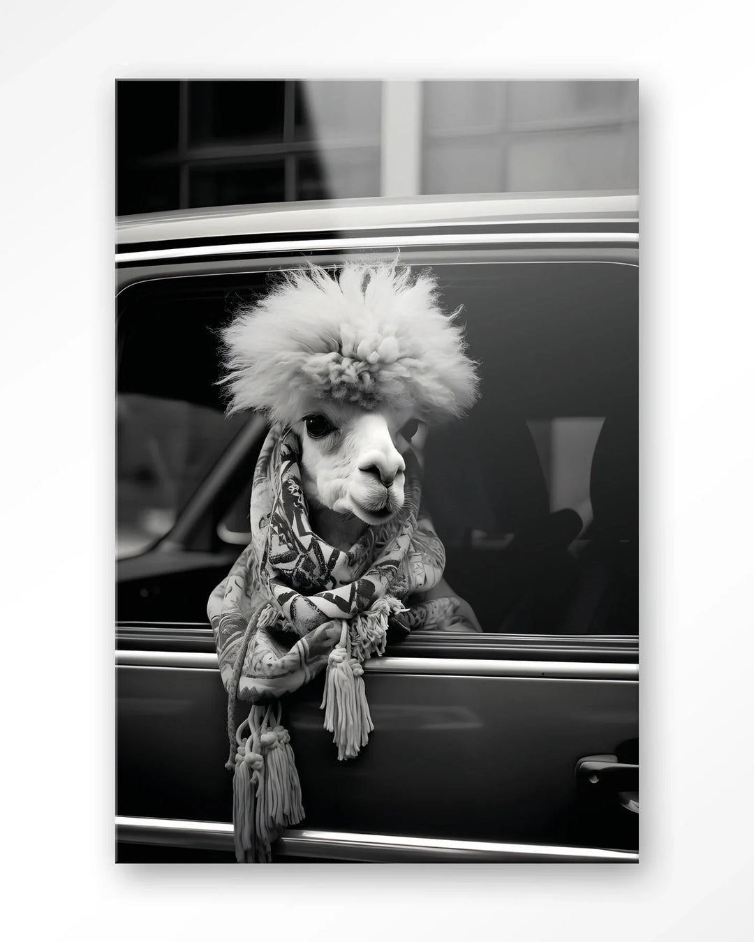 Alpaca In Taxi - Moderne Wanddecoratie | Artprint, Glass Art & Wandkleed