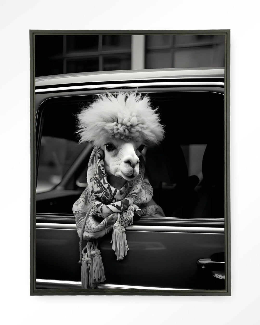 Alpaca In Taxi - Moderne Wanddecoratie | Artprint, Glass Art & Wandkleed
