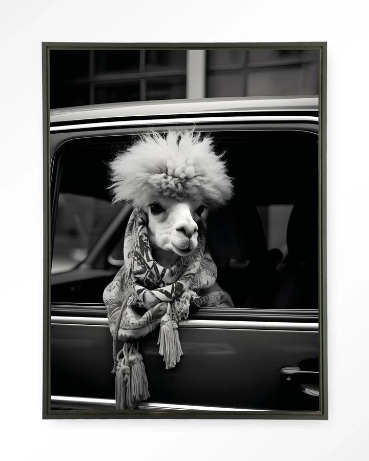 Alpaca In Taxi - Moderne Wanddecoratie | Artprint, Glass Art & Wandkleed