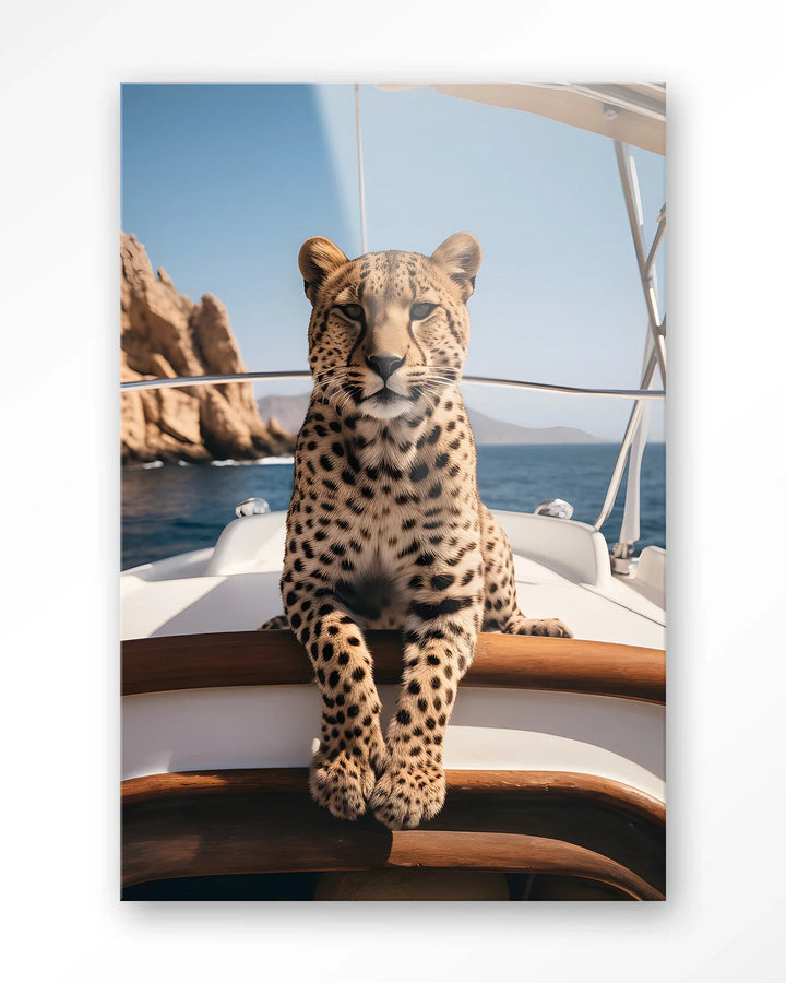 Sailboat Cheetah - Moderne Wanddecoratie | Artprint, Glass Art & Wandkleed