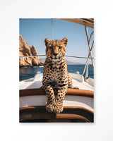 Sailboat Cheetah - Moderne Wanddecoratie | Artprint, Glass Art & Wandkleed