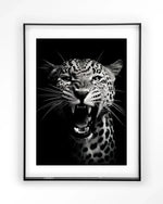 Rawr Cheetah - Moderne Wanddecoratie | Artprint, Glass Art & Wandkleed