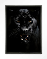 Rawr Panther - Moderne Wanddecoratie | Artprint, Glass Art & Wandkleed
