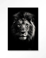 Mighty Lion - Moderne Wanddecoratie | Artprint, Glass Art & Wandkleed