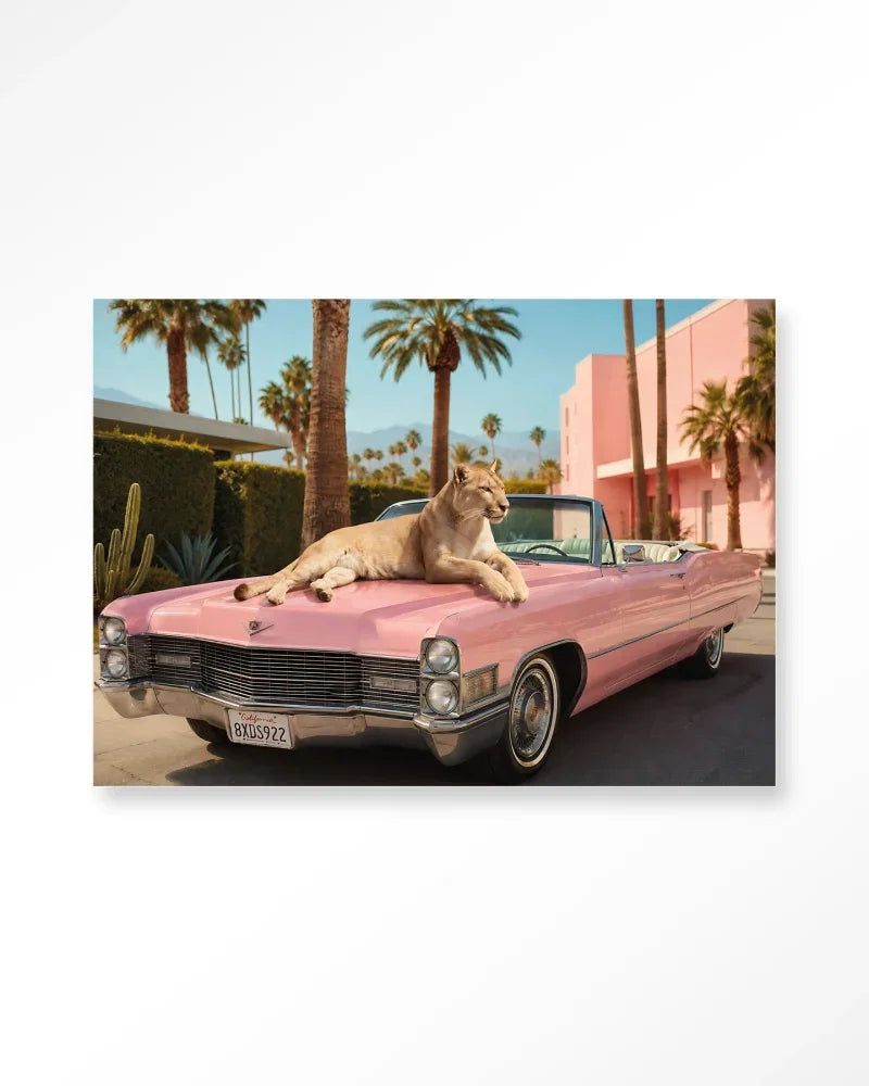 Palm Springs Pet wanddecoratie Urban Cotton poema op roze cabrio
