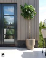 Pot Roskilde L taupe