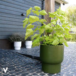 Pot Roskilde S green