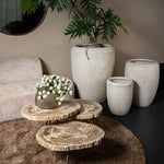 Beton Bloempot – Luxe Design Pot met Wave Structuur