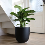 Bloempot Ducos big black voor binnen & buiten
