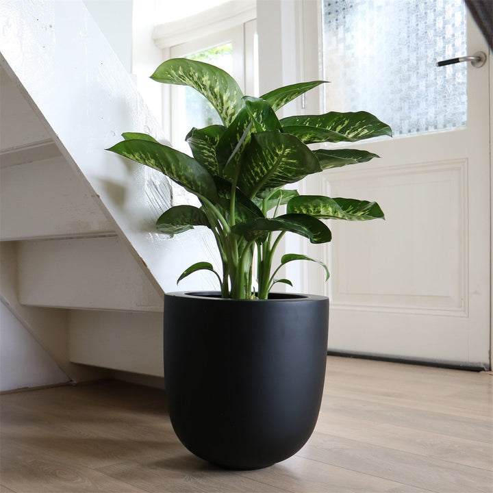 Bloempot Ducos big black voor binnen & buiten