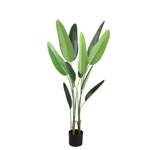 Tree Green Leaf Ravenala In Black Pot S 70x80x120cm PTMD