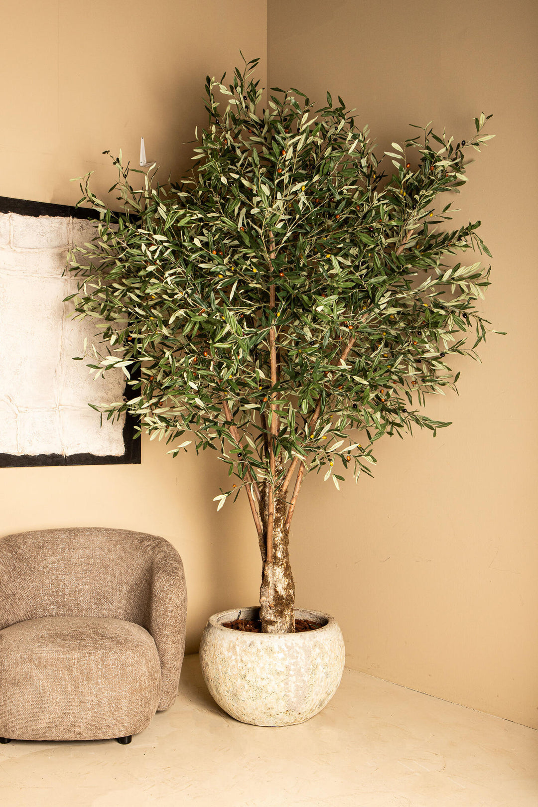 Tree Green Olive Tree In Plastic Pot