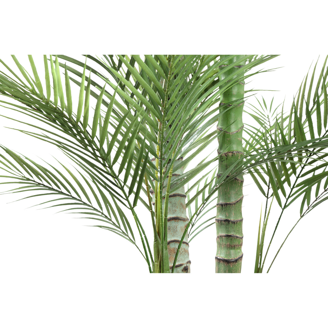 Tree Green Palm Tree In Black Pot