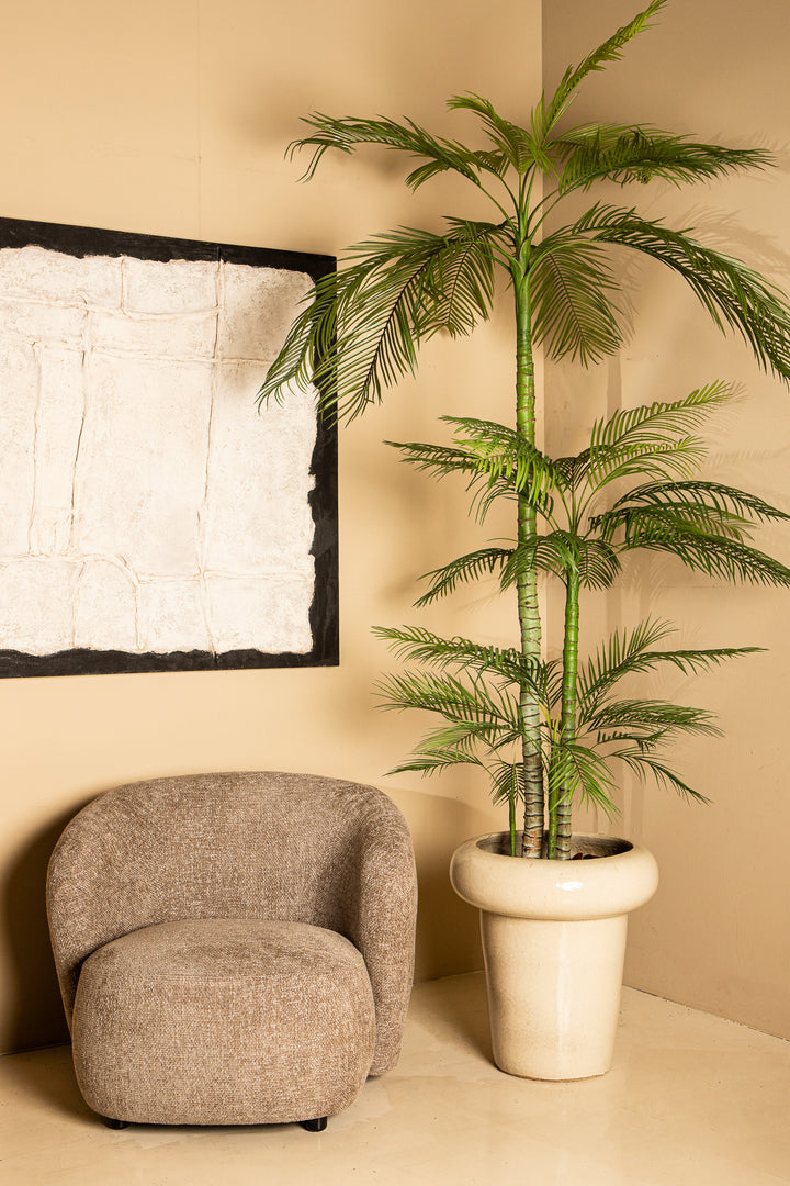 Tree Green Palm Tree In Black Pot