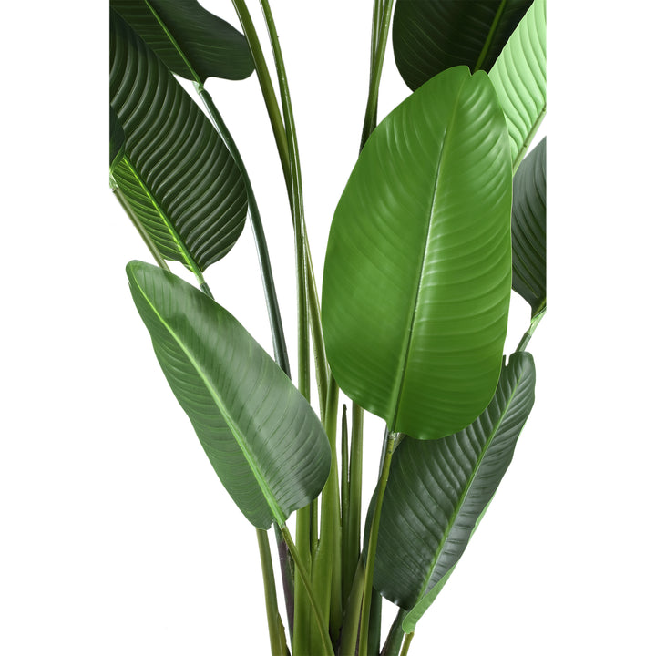 Kunst Strelitzia 310 cm – XL Real Touch Kunstplant – Extra Hoge Kunstboom