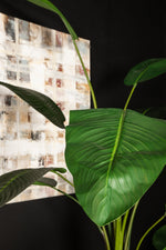Kunst Strelitzia 235 cm – Real Touch Kunstplant Groot – PTMD