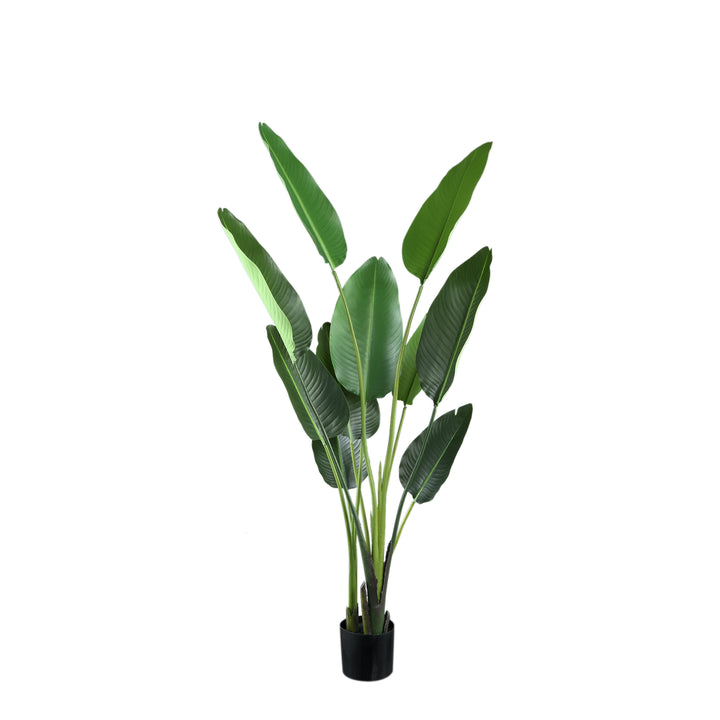 Kunst Strelitzia 150 cm – Real Touch Kunstplant Groot – Inclusief Pot