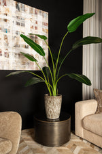 Kunst Strelitzia 150 cm – Real Touch Kunstplant Groot – PTMD