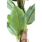 Tree Green PE Real Touch Banana Tree M 133x149x208cm PTMD
