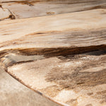 PTMD Deeba Koffietafel Versteend Hout – 130 × 85 cm | Organisch