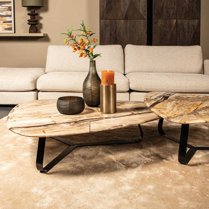 PTMD Deeba Koffietafel Versteend Hout – 130 × 85 cm | Organisch