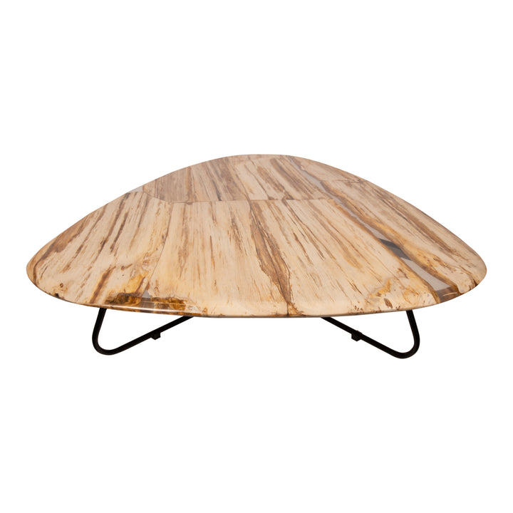 PTMD Deeba Koffietafel Versteend Hout – 130 × 85 cm | Organisch