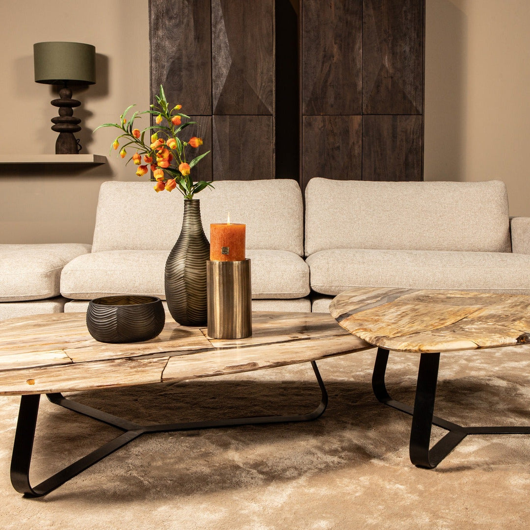 PTMD Deeba Koffietafel Versteend Hout – 130 × 85 cm | Organisch