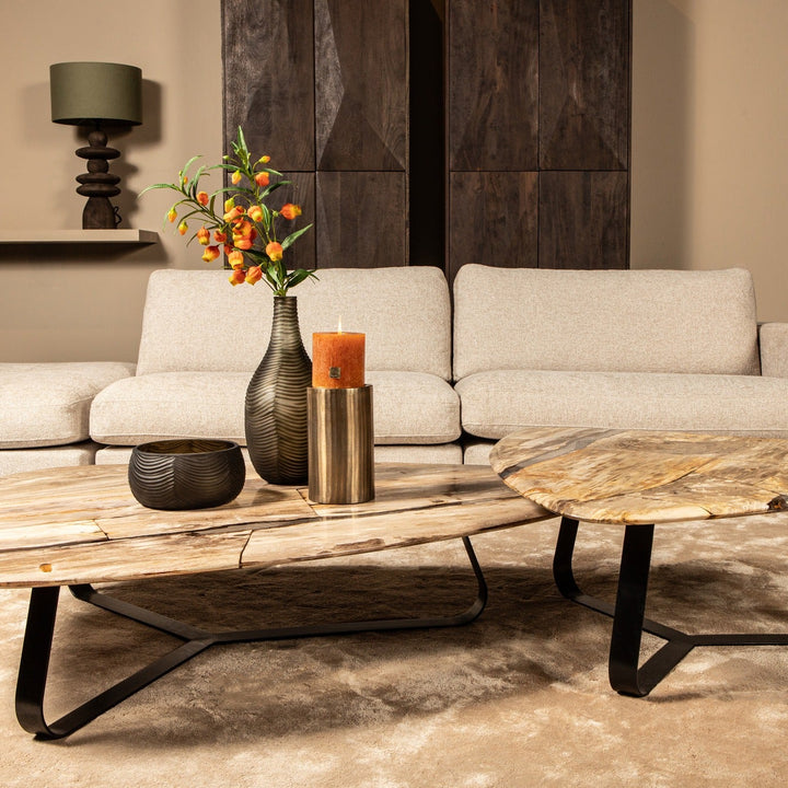 PTMD Deeba Koffietafel Versteend Hout – 130 × 85 cm | Organisch