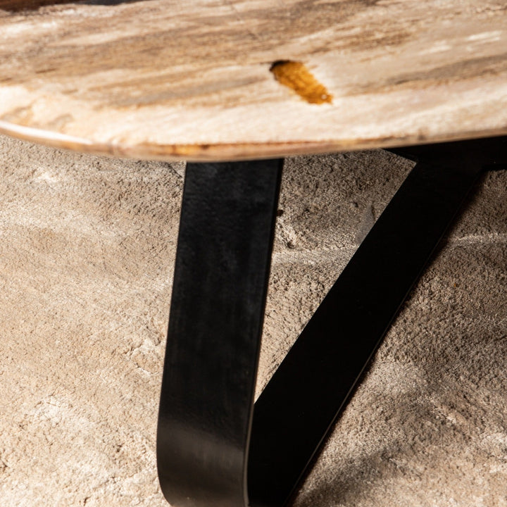 PTMD Deeba Koffietafel Versteend Hout – 130 × 85 cm | Organisch