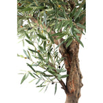 Tree Green Olive Tree In Pot 120x120x210cm PTMD