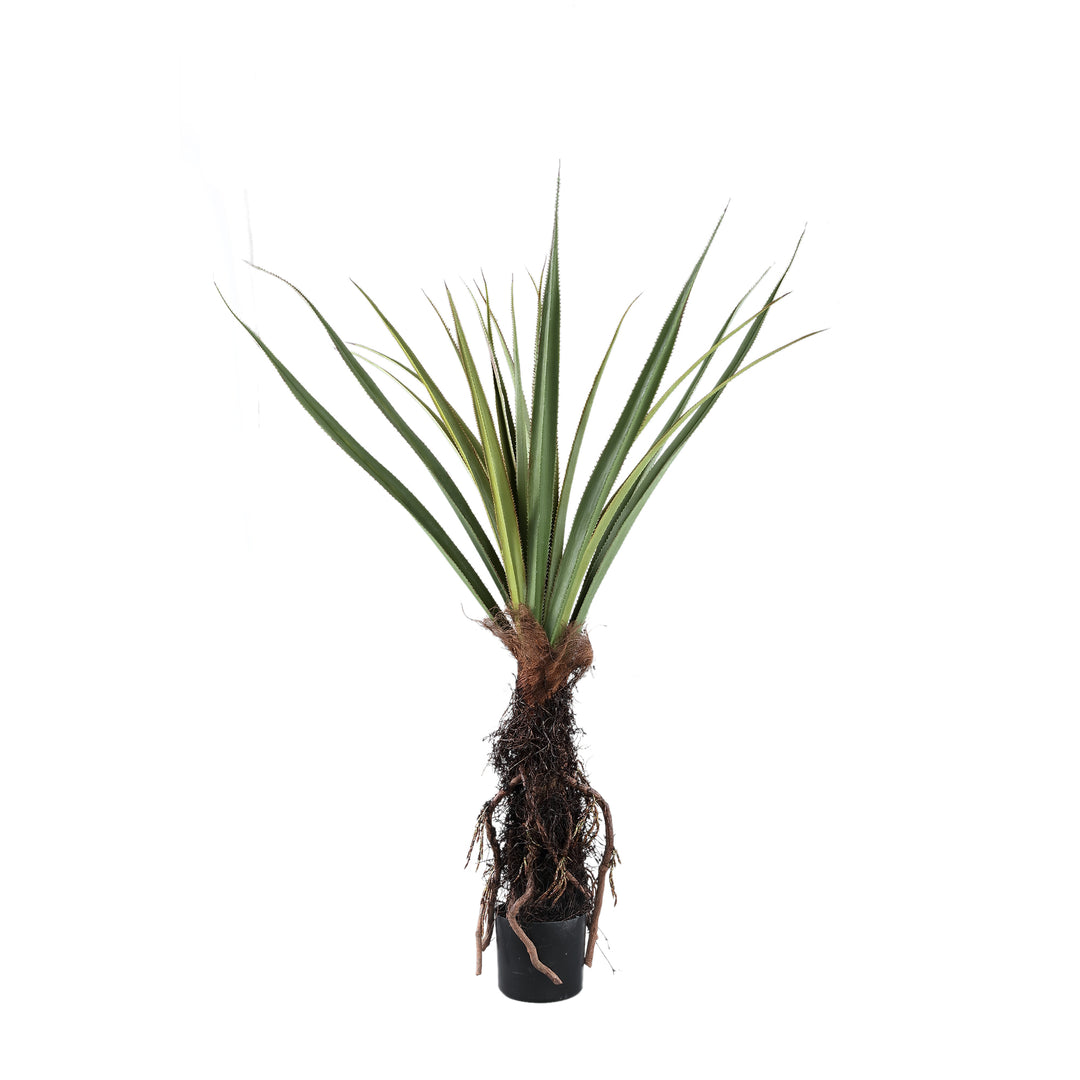 Tree Green Pandanus Tree In Pot 150cm