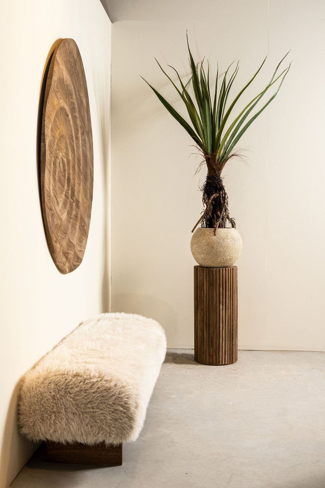 Tree Green Pandanus Tree In Pot 150cm