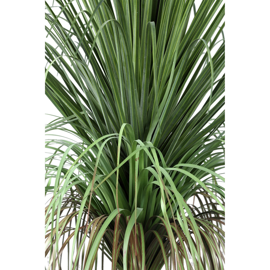 Kunst Onion Grass op Kokos Stam 98 cm – PTMD – Kunstplant Groen
