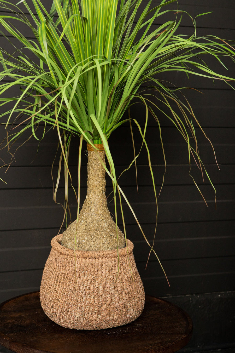 Kunst Onion Grass op Kokos Stam 98 cm – PTMD – Kunstplant Groen