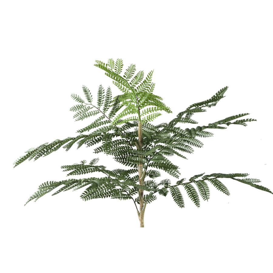 Tree Green Jacaranda Tree In Pot 43x45x99cm PTMD