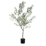 Tree Green Olive Tree In Pot L 110x70x156cm PTMD