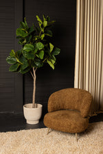 Tree Green Ficus Tree In Pot M 109x115x15,5cm PTMD