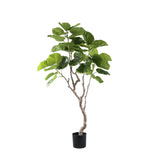 Tree Green Ficus Tree In Pot M 109x115x15,5cm PTMD